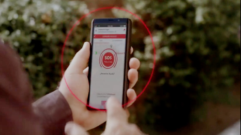 Cão numa casa protegida pela securitas direct