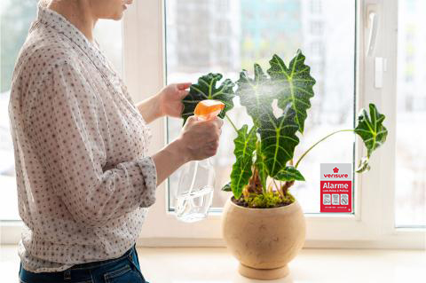 Detor Sock Sensor para portas e janelas